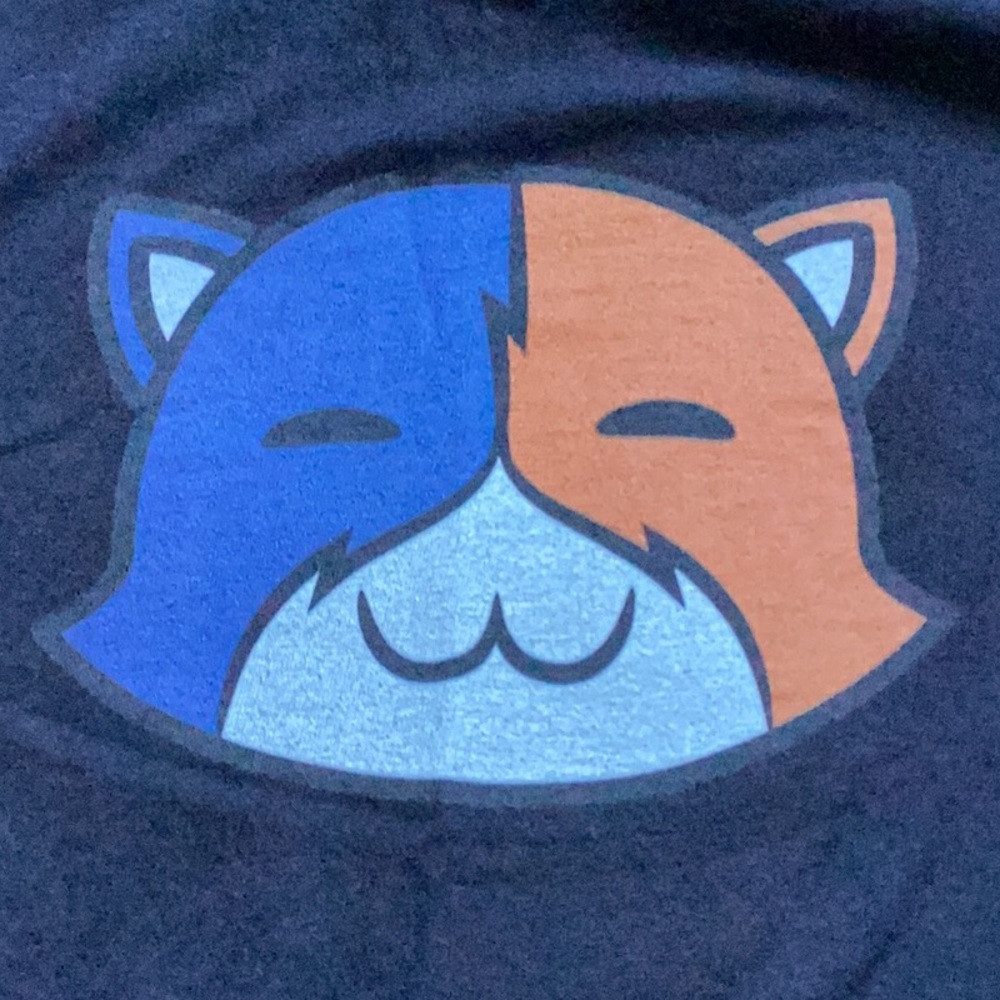 Kids Fortnite Meowscles Black Graphic T-Shirt